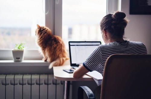 employee working remotely with a cat