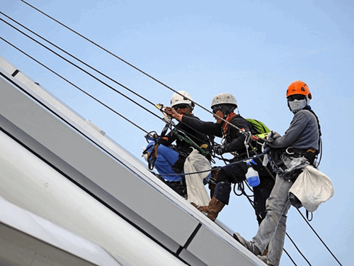 employees using ropes and safety equipment
