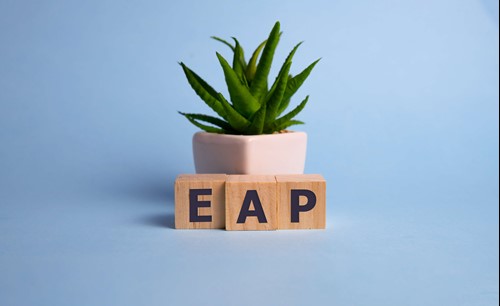 EAP stands for employee assistance programs