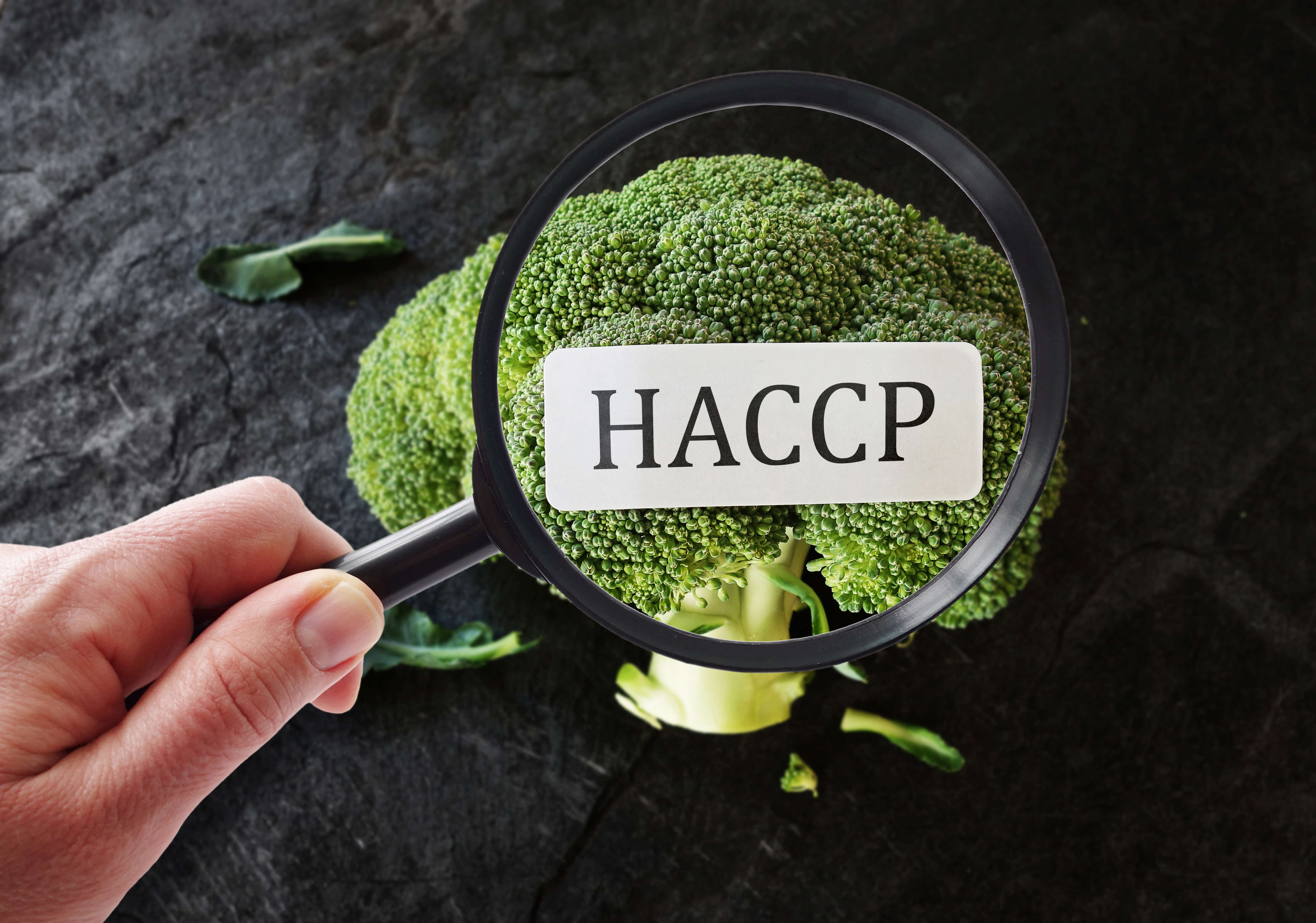 Hazard Analysis and Critical Control Point (HACCP) featured image