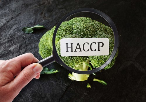 the food industry uses HACCP to ensure control measures are in place to keep food safety hazard at bay within the hazard analysis .