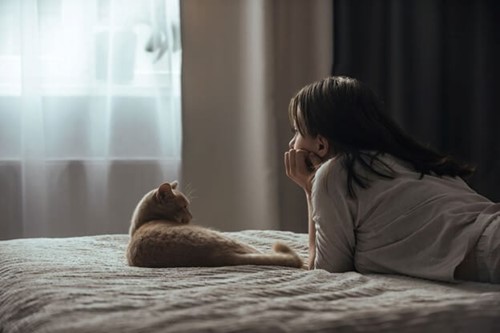 female employee laying on a bed next to a cat taking a sick day due to exhibiting symptoms of SAD.