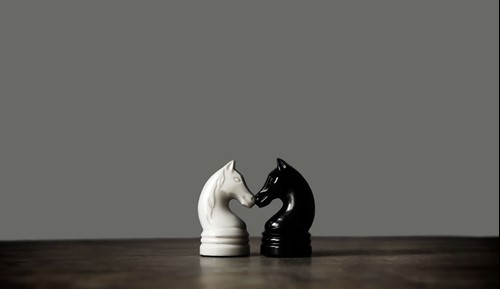 two knights one white one black set in opposition chess